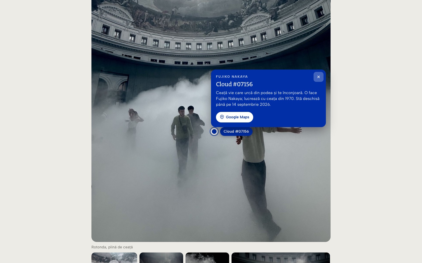Jurnalul din Paris, captură din site-ul Fierți pe Artă